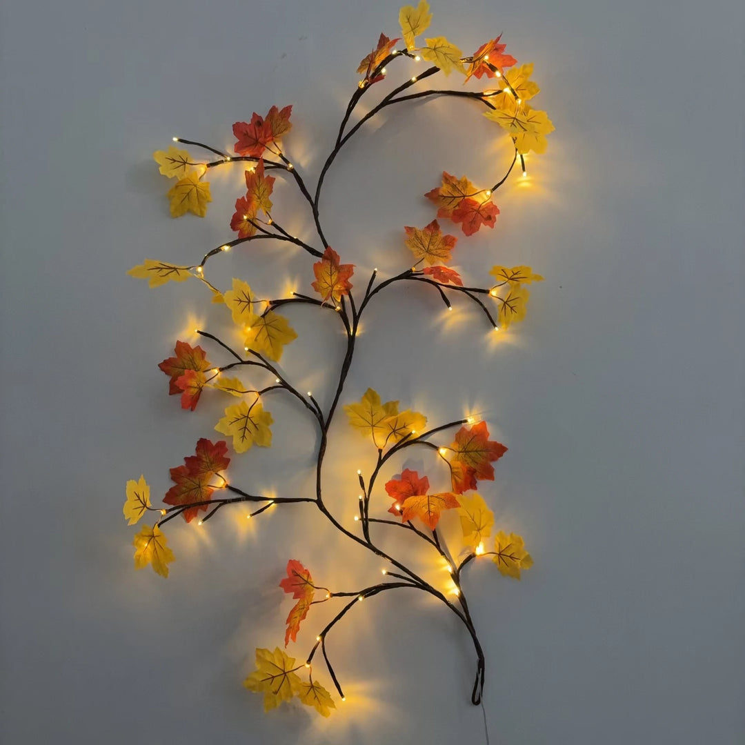 Maple Lights with red and yellow leaves climbing a white wall